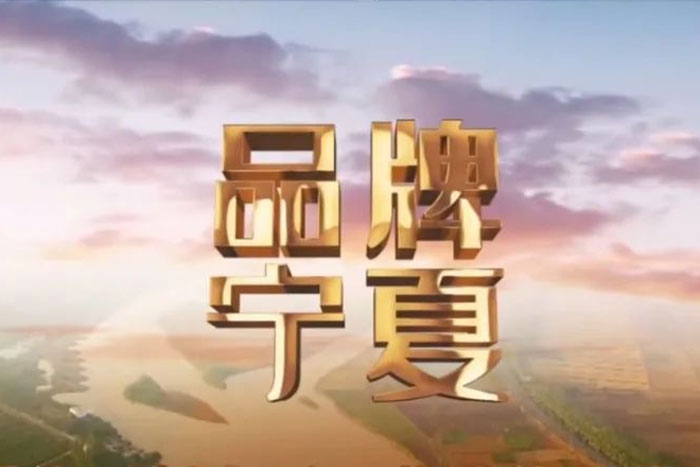 来自宁夏卫视《品牌宁夏》栏目对PA集团中国的报道