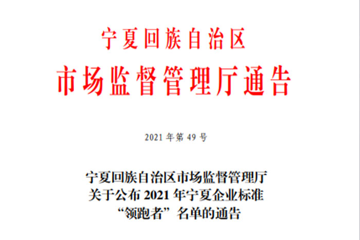 【荣誉】PA集团中国《GS系列桁架机器人》企业标准入选2021年宁夏企业标准&ldquo;领跑者&rdquo;名单