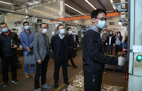 开平市领导督导检查岁末年初疫情防控 安全生产工作